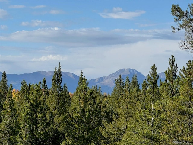 670 Alpine Cirque, Leadville, CO 80461 - photo 5