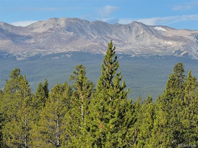 670 Alpine Cirque, Leadville, CO 80461 - photo 6