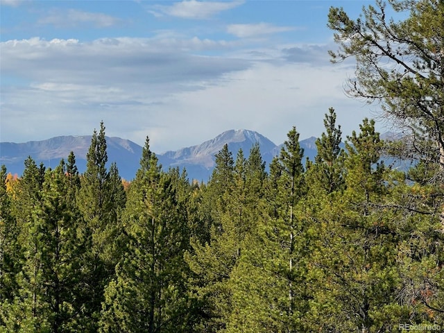 670 Alpine Cirque, Leadville, CO 80461 - photo 7