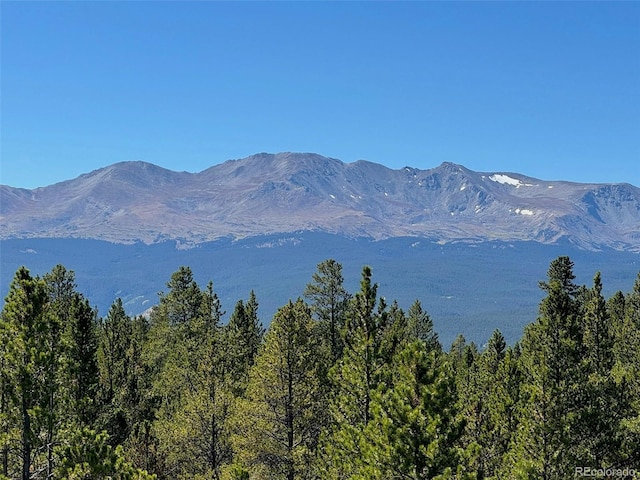670 Alpine Cirque, Leadville, CO 80461 - photo 8