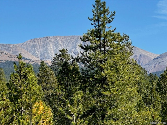 670 Alpine Cirque, Leadville, CO 80461 - photo 9