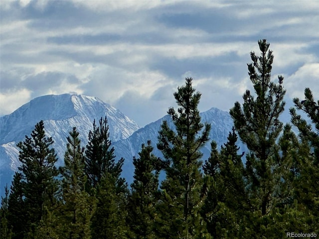 670 Alpine Cirque, Leadville, CO 80461 - photo 10