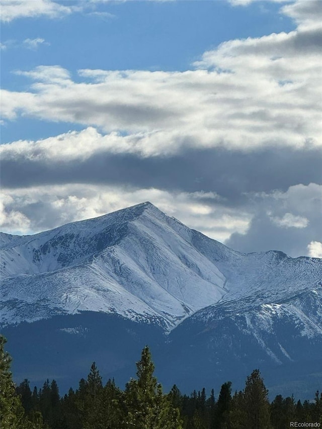 670 Alpine Cirque, Leadville, CO 80461 - photo 11
