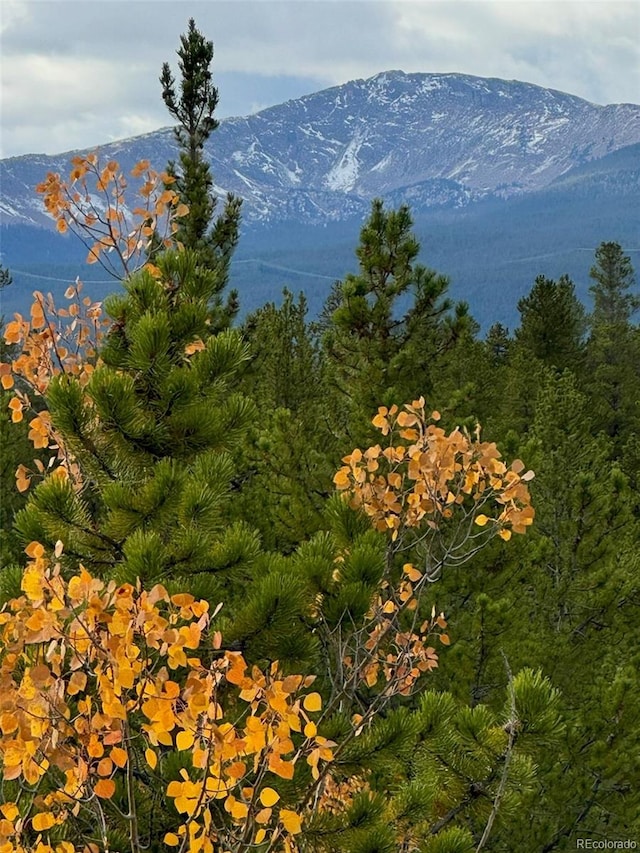 670 Alpine Cirque, Leadville, CO 80461 - photo 12
