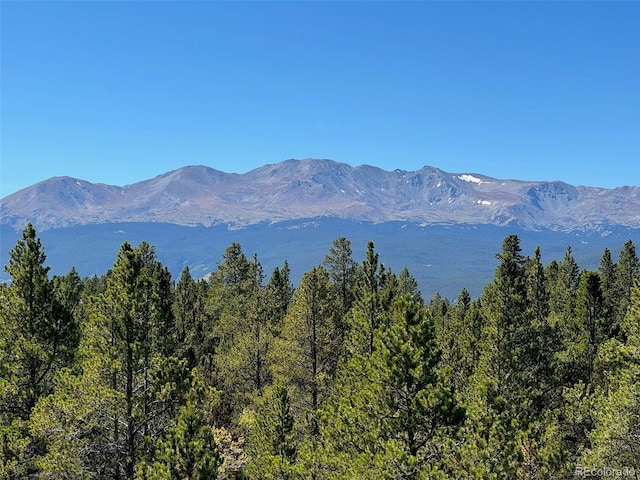 670 Alpine Cirque, Leadville, CO 80461 - photo 13