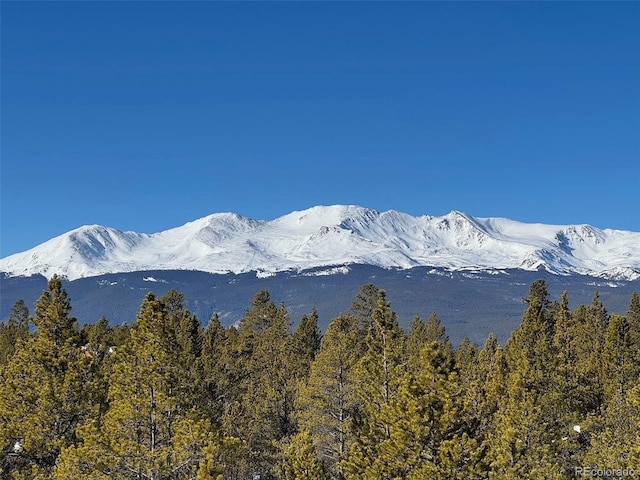 670 Alpine Cirque, Leadville, CO 80461 - photo 14