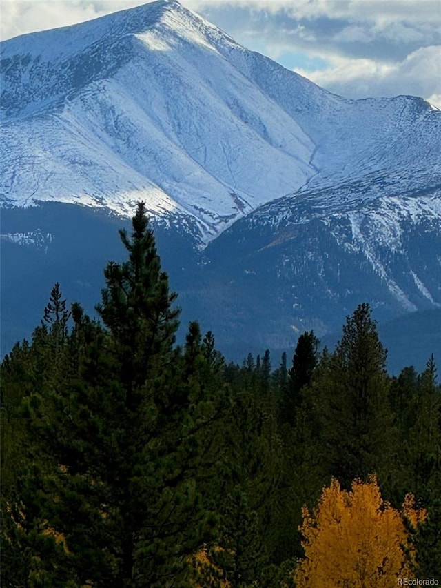 670 Alpine Cirque, Leadville, CO 80461 - photo 15