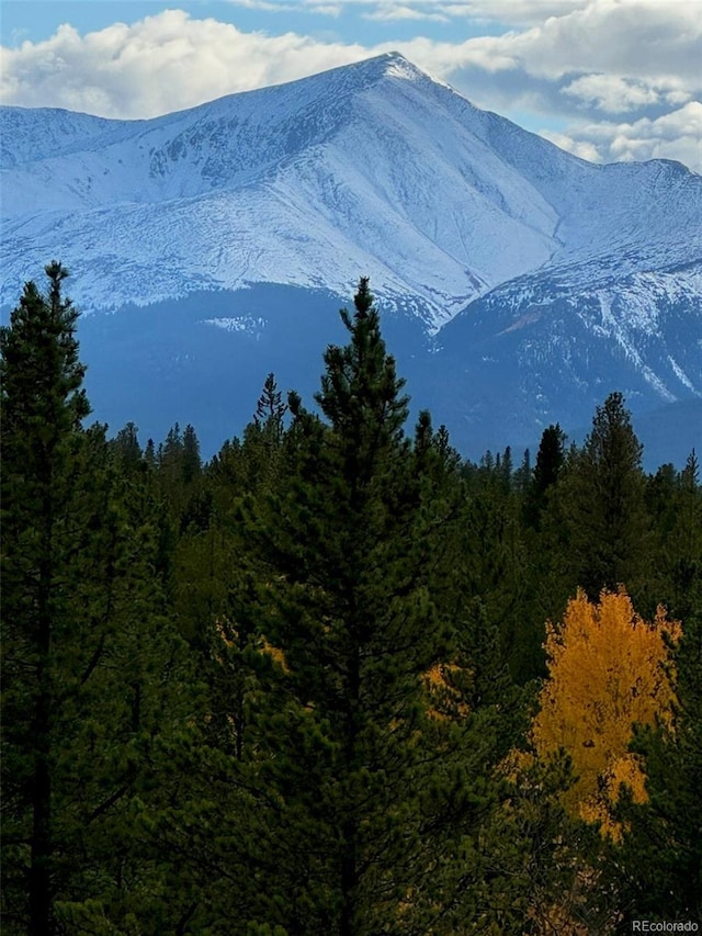 670 Alpine Cirque, Leadville, CO 80461 - photo 16