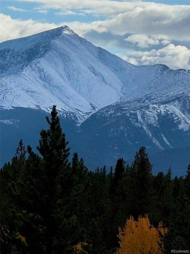 670 Alpine Cirque, Leadville, CO 80461 - photo 17