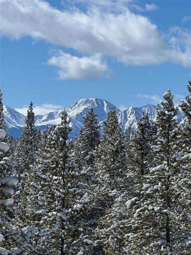 670 Alpine Cirque, Leadville, CO 80461 - photo 19