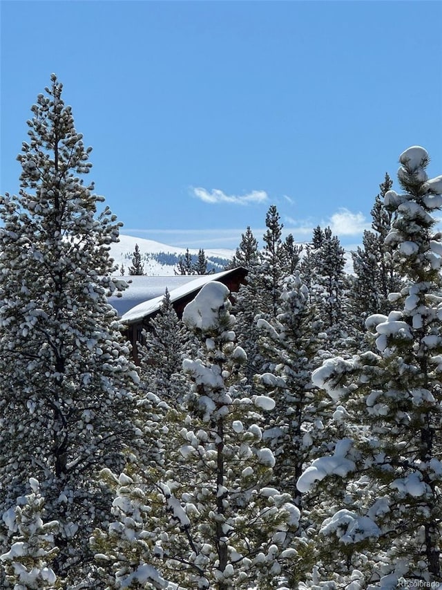 670 Alpine Cirque, Leadville, CO 80461 - photo 20
