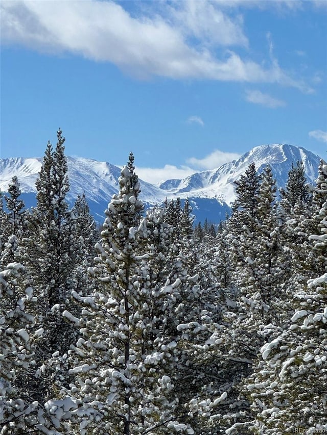 670 Alpine Cirque, Leadville, CO 80461 - photo 21