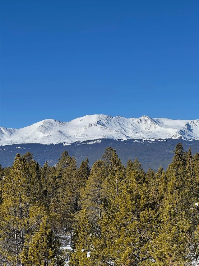 670 Alpine Cirque, Leadville, CO 80461 - photo 22