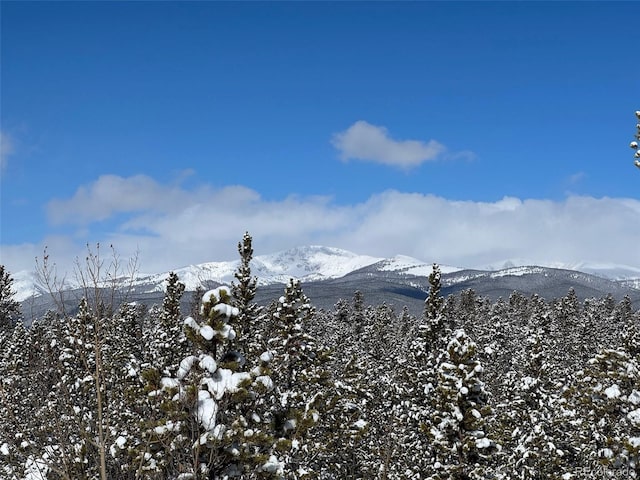 670 Alpine Cirque, Leadville, CO 80461 - photo 23