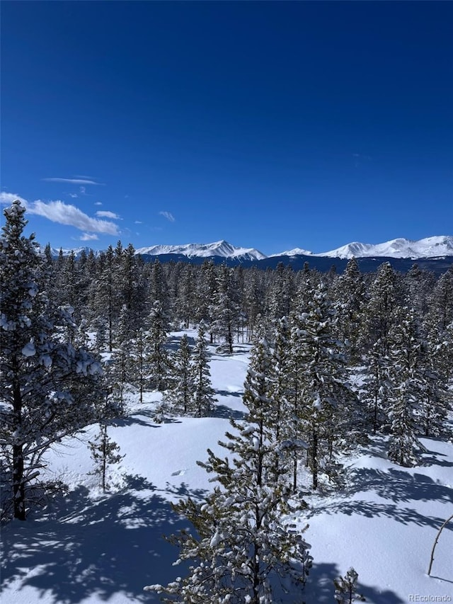 670 Alpine Cirque, Leadville, CO 80461 - photo 24