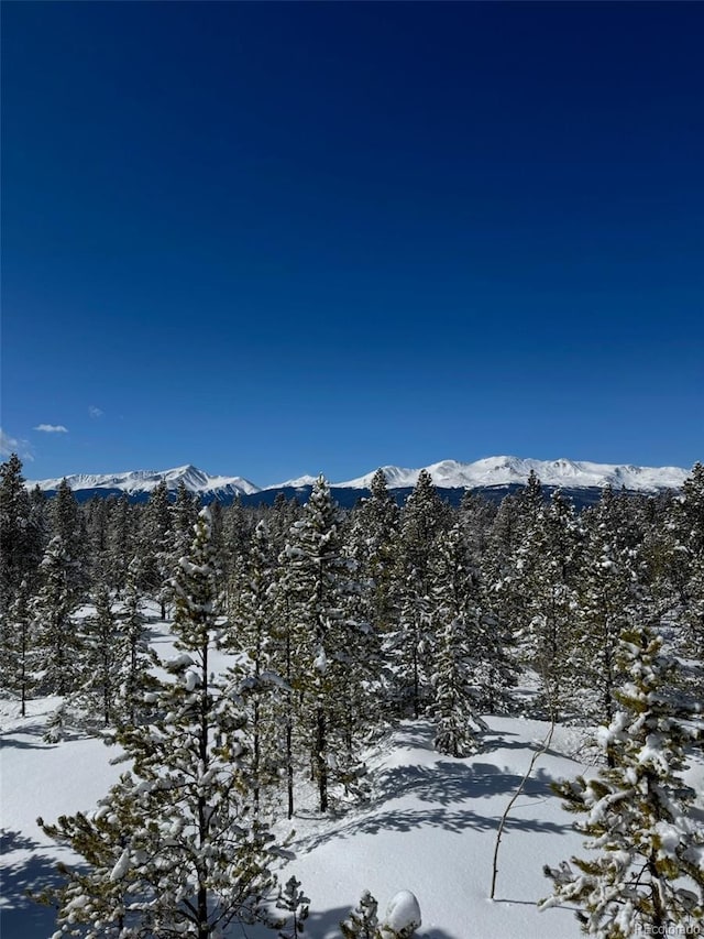 670 Alpine Cirque, Leadville, CO 80461 - photo 25