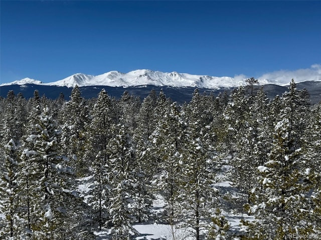 670 Alpine Cirque, Leadville, CO 80461 - photo 27