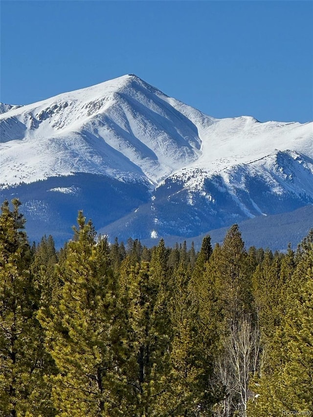 670 Alpine Cirque, Leadville, CO 80461 - photo 28