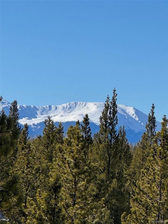 670 Alpine Cirque, Leadville, CO 80461 - photo 29