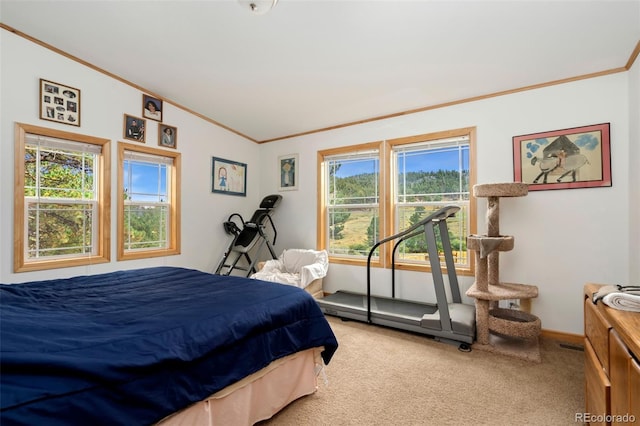 carpeted bedroom featuring lofted ceiling, ornamental molding, and multiple windows