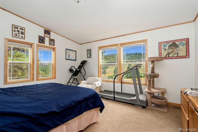 17931 W County Road 74e, Red Feather Lakes, CO 80545 - photo 23