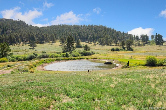 view of yard with a water view