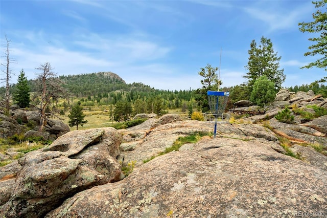 17931 W County Road 74e, Red Feather Lakes, CO 80545 - photo 45