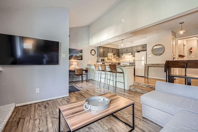 living room with high vaulted ceiling and light hardwood / wood-style floors