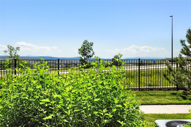 474 Black Feather Loop Unit 406, Castle Rock, CO 80104 - view of yard