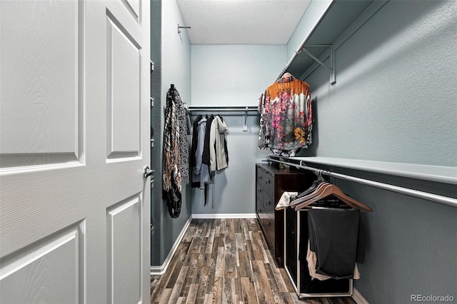 474 Black Feather Loop Unit 406, Castle Rock, CO 80104 - walk in closet featuring dark wood finished floors