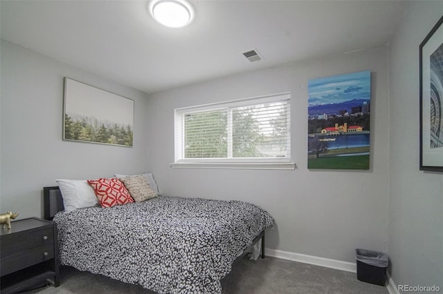700 Elbert St, Denver, CO 80221 - photo 19