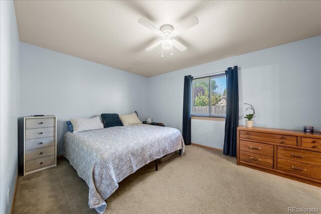3917 Harbor Ln, Evans, CO 80620 - photo 12