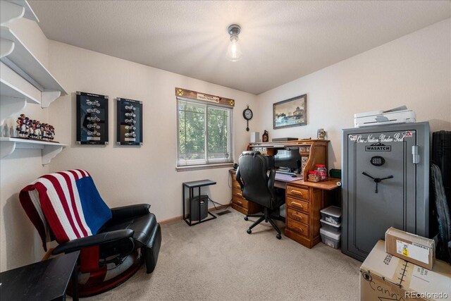 3917 Harbor Ln, Evans, CO 80620 - photo 16