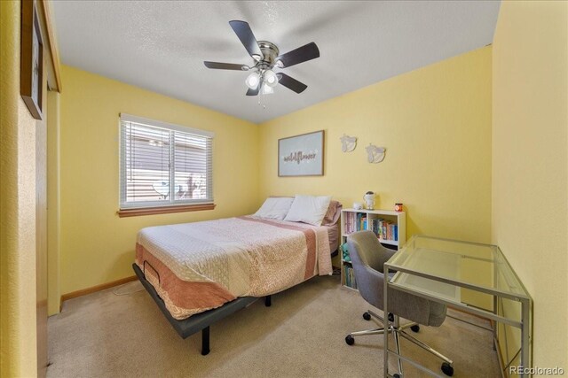 3917 Harbor Ln, Evans, CO 80620 - photo 31