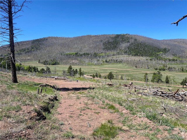 2135 Riccardo Ln, Fort Garland, CO 81133