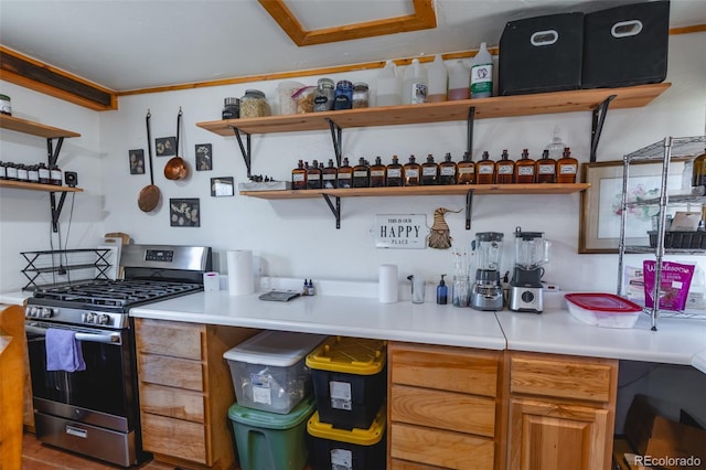 kitchen with stainless steel range with gas stovetop