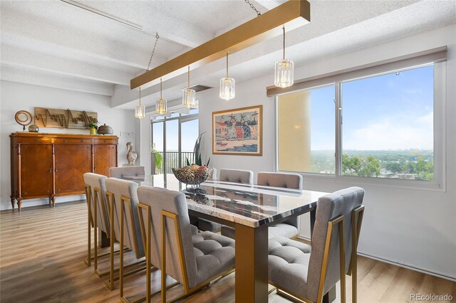 dining area with a wealth of natural light, hardwood / wood-style floors, and a textured ceiling