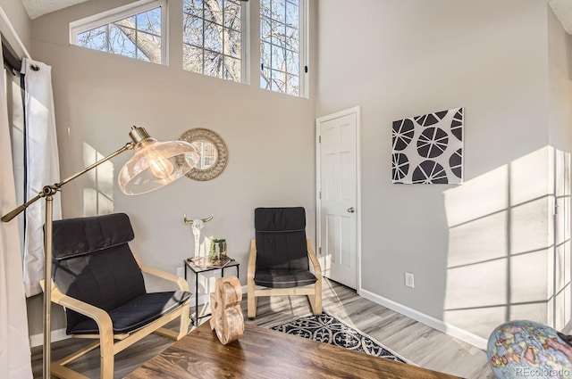 living area featuring a high ceiling and hardwood / wood-style floors