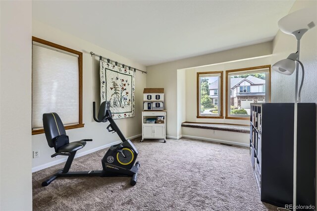 3743 W 103rd Dr, Westminster, CO 80031 - exercise room featuring carpet and baseboards