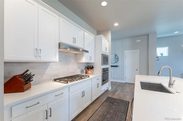 21574 E 59th Dr, Aurora, CO 80019 - kitchen featuring under cabinet range hood, a sink, appliances with stainless steel finishes, white cabinetry, and tasteful backsplash