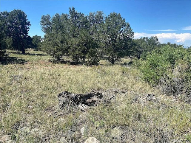 2049 Indian Well Overlook, Crestone, CO 81131