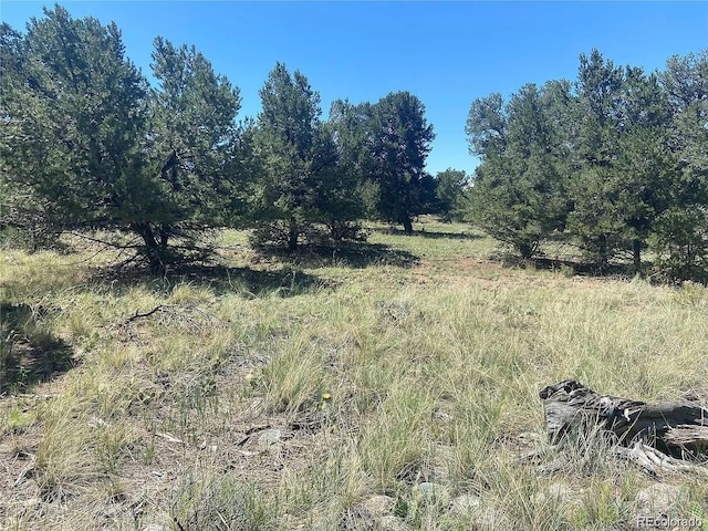 2049 Indian Well Overlook, Crestone, CO 81131