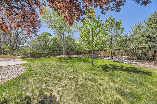 2950 Wyecliff Ln, Highlands Ranch, CO 80126 - view of fenced backyard