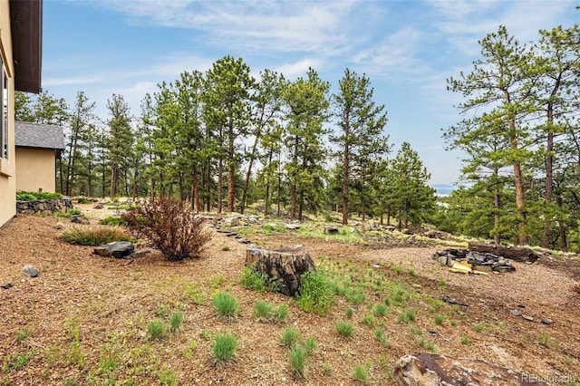 459 County Road 85, Guffey, CO 80820 - view of yard