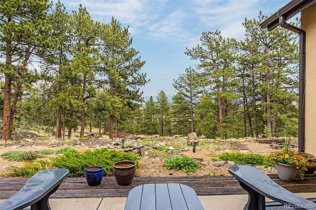 459 County Road 85, Guffey, CO 80820 - view of patio