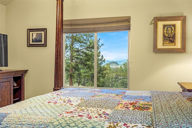 459 County Road 85, Guffey, CO 80820 - bedroom with a mountain view