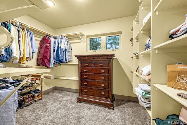 459 County Road 85, Guffey, CO 80820 - spacious closet with carpet flooring