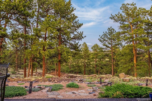 459 County Road 85, Guffey, CO 80820 - view of local wilderness