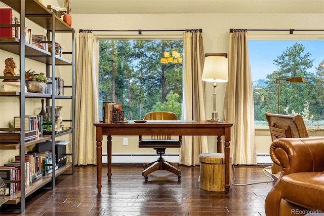459 County Road 85, Guffey, CO 80820 - living area featuring wood-type flooring and a baseboard radiator