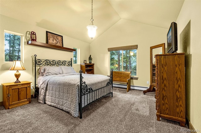459 County Road 85, Guffey, CO 80820 - carpeted bedroom with baseboard heating, multiple windows, and lofted ceiling